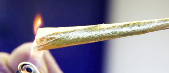 Les vertus médicales du CBD