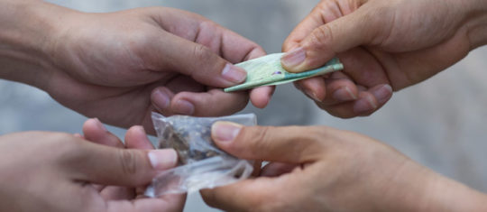 consommer légalement du cannabis en France