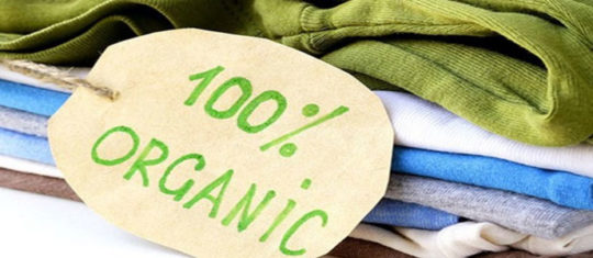 vêtements bio