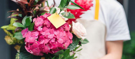 fleurs