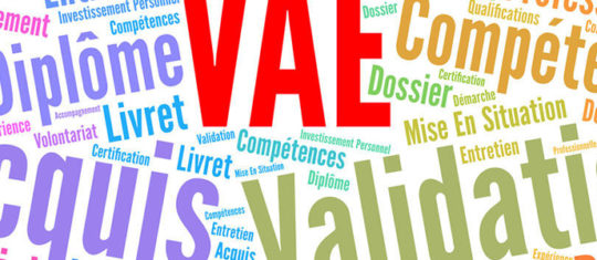 VAE