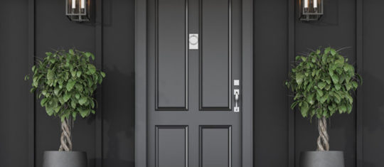 portes d'entrée