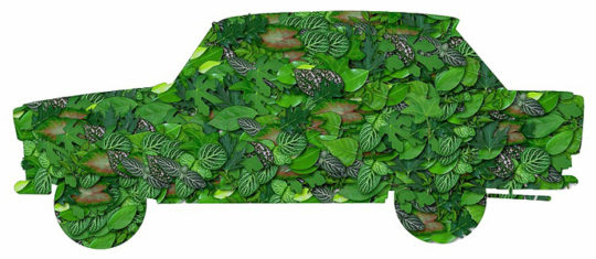 transport écologiques