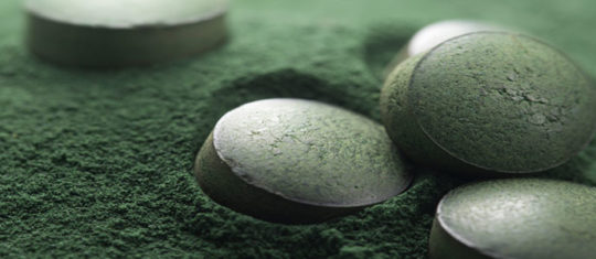 Spiruline