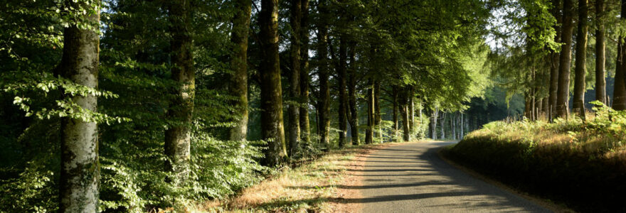 Corrèze